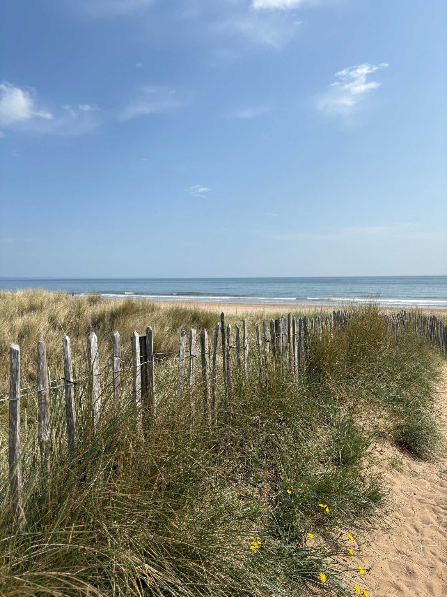 Coastal sand dunes with weathered wooden fencing and natural grasses, reflecting the balance of softness and structure behind the Navy & Bright DIY framed canvas art kit palette.