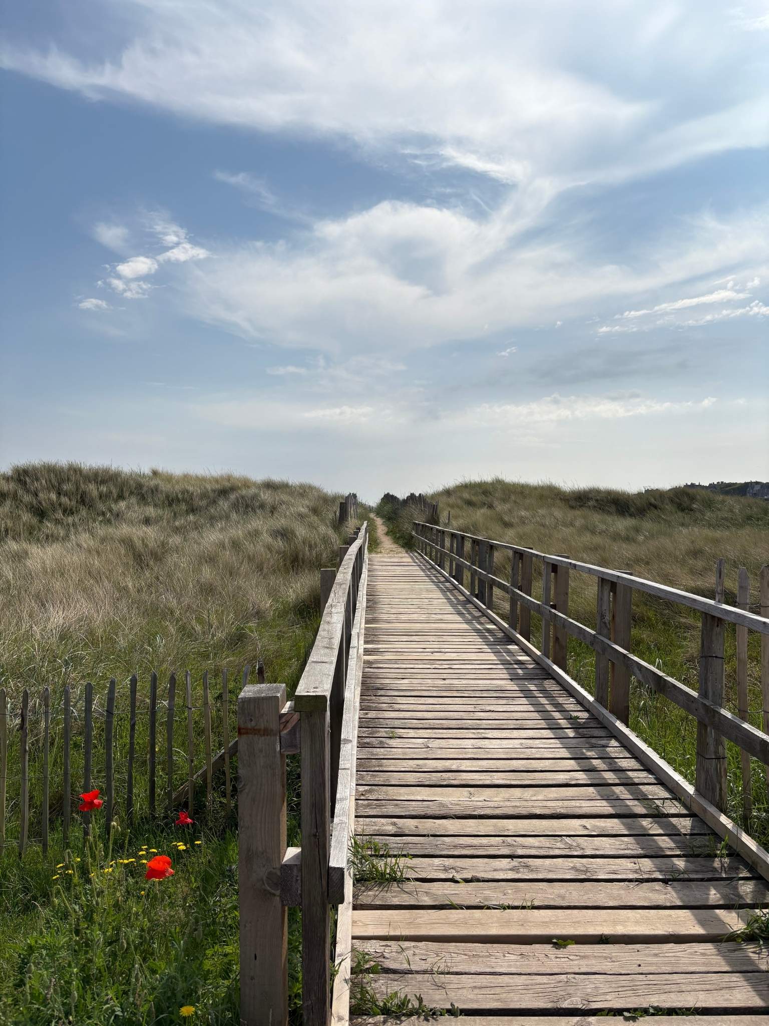Wooden boardwalk leading through coastal dunes under an open sky, capturing the sense of movement, contrast and openness that inspired the Navy & Bright colour palette.